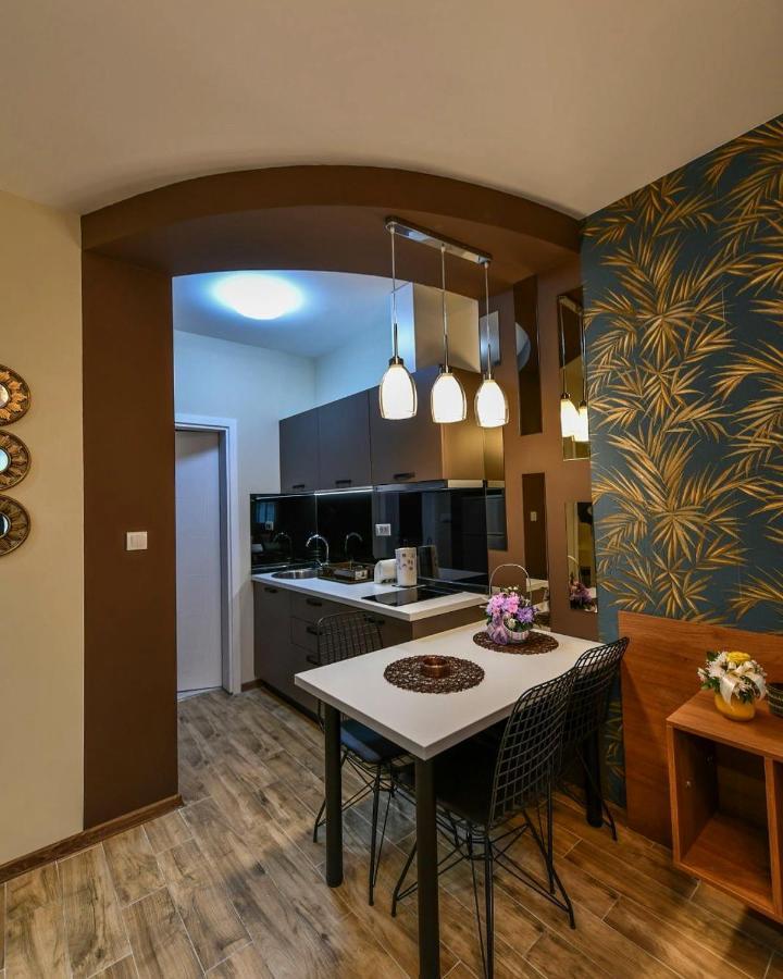 Apartman Dolar Kraljevo Buitenkant foto